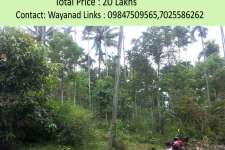 1 acre agricultural land near Kenichira,Wayanad